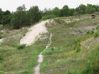 Schalenb&auml;nke