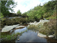 Naturschutzgebiet Ramsvik