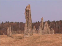 Schiffssetzung