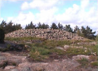 Vitlycke