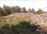 Vitlycke