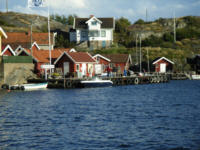 Kyrkesund